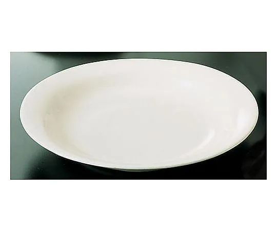 62-6832-85　［Discontinued］Brighton BR700 (White) Brunch Plate 25 cm　RBL12