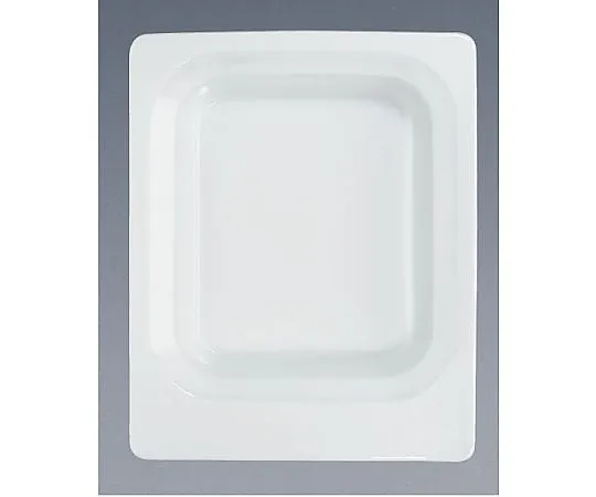 62-6672-06　［Discontinued］Scenario GN Dish 1/2 20 mm　9375810