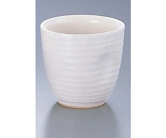 62-6819-50　［Discontinued］White Striped Cup　D03-04