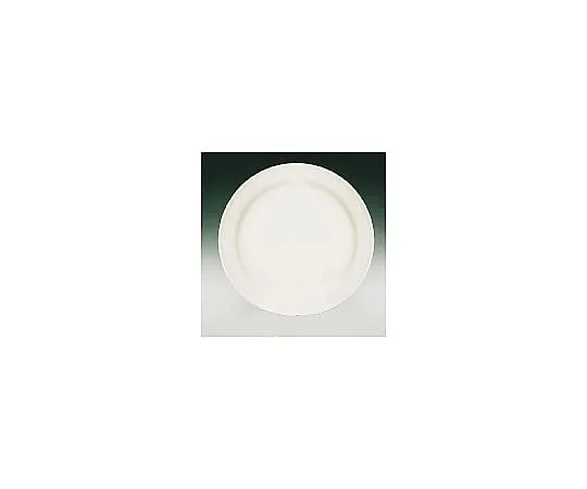 62-6832-73　［Discontinued］Brighton BR700 (White) Dinner Plate 27 cm　RDI17