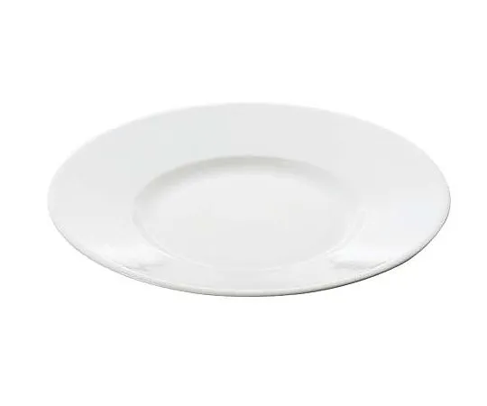 62-6831-18　［Discontinued］Apirko Vater Flat Plate　APVL240Vl