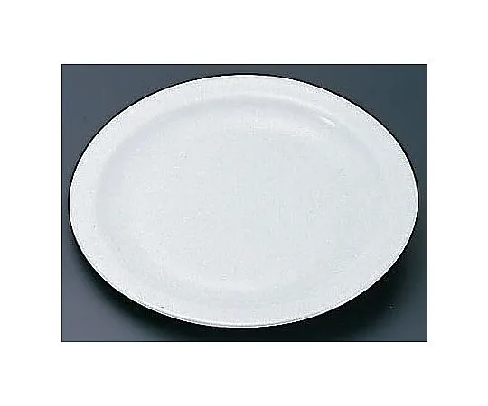 62-6834-08　［Discontinued］Alcoloc Hoteliere Meat Dish φ235 mm　57975