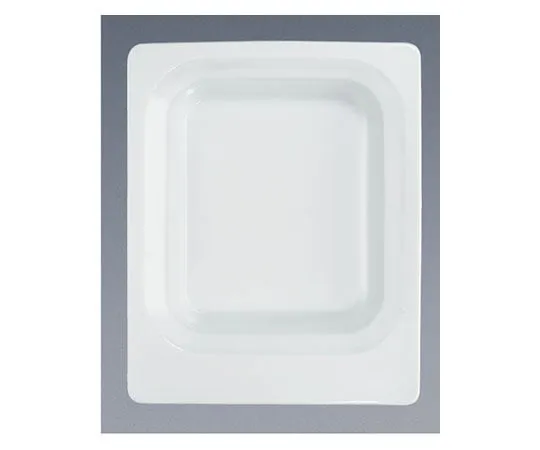 62-6672-07　［Discontinued］Scenario GN Dish 1/2 65 mm　9375812