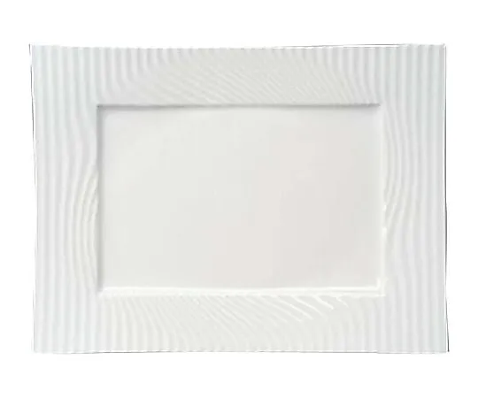 62-6830-99　［Discontinued］Nala Recutan Gular Plate Desliere　CPGAREC
