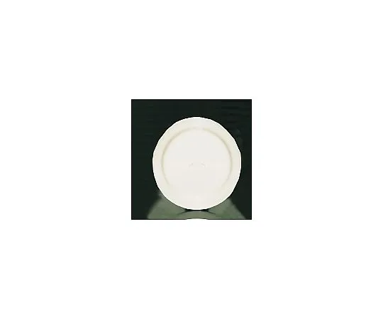 62-6832-74　［Discontinued］Brighton BR700 (White) Dinner Plate 25 cm　RDI18