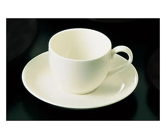 62-6832-95　［Discontinued］Brighton BR700 (White) Demita Cup (6 Pieces)　RDM011