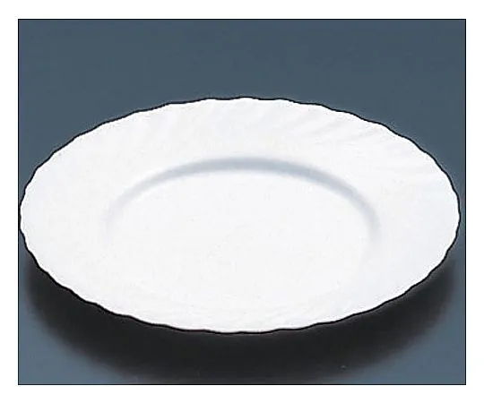 62-6834-14　［Discontinued］Trianon Meat Dish φ246 mm D6890 (52107)