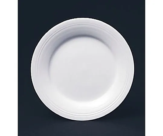 62-6833-18　［Discontinued］Yamaka YK11 Line Rim Plate 21 cm　YK116103