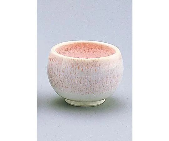 62-6819-37　［Discontinued］Sakuranagashi Guinomi　D03-48