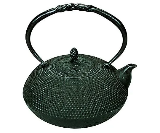 62-6526-46　［Discontinued］Fifth Iron Bottle, Harirau 15, 1.65 L