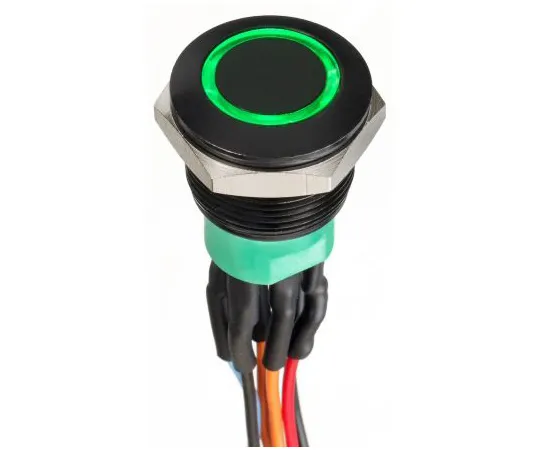 63-9675-53　APEM Double Pole Double Throw (DPDT) Momentary Green LED Push Button Switch, IP67, 19.2 (Dia.)mm, Panel Mount, 30V dc　AV9V22F1020870K