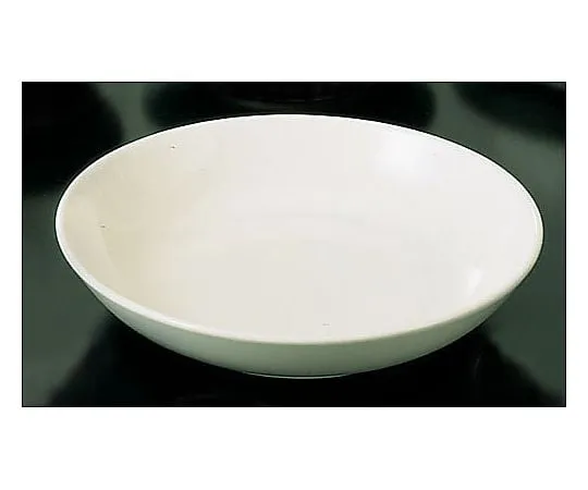 62-6832-86　［Discontinued］Brighton BR700 (White) Pasta Plate 22 cm　RPS01