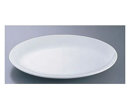 62-6847-98　［Discontinued］CW-20 White 10 Inch Platter