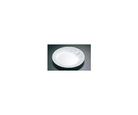 62-6821-75　［Discontinued］Revol Dinner Plate　S89