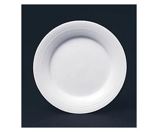 62-6833-17　［Discontinued］Yamaka YK11 Line Rim Plate 24 cm　YK116102