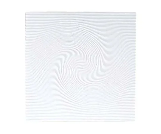 62-6831-01　［Discontinued］Nalla Square Dish CCAR150 Deslières