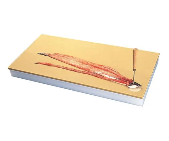 62-6429-99　［Discontinued］Plastic Cutting Board for Fresh Fish　16