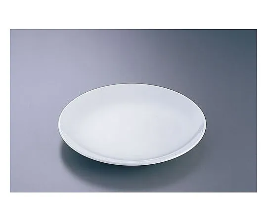 62-6847-90　［Discontinued］CW-6 White 9.0 Rimless Round Plate