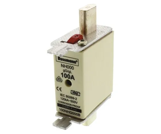 64-0306-95　Cooper Bussmann 100A 000 NH Centred Tag F***, gG - gL, 500V ac　100NHG000B