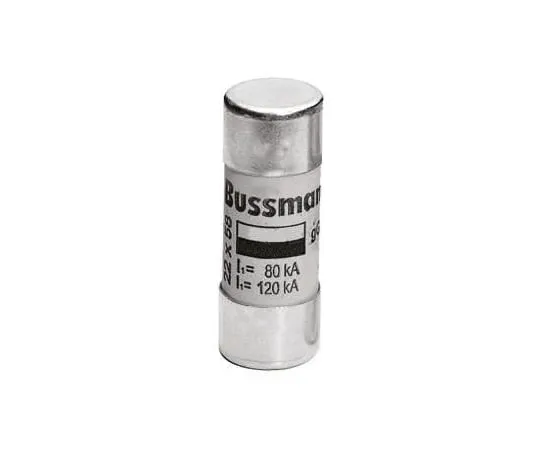 64-0306-81　Cooper Bussmann, 10A Ceramic Cartridge F***, 22.2 x 58mm　C22G10