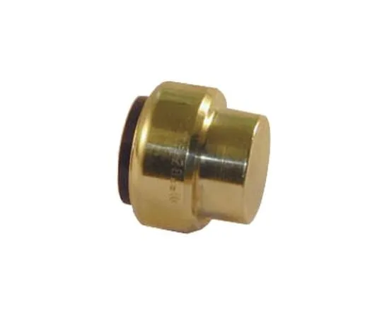 64-0352-07　Pegler Yorkshire Brass Push Fit Fitting 15mm　65866