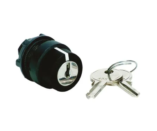 64-0497-43　Schneider Electric Harmony XB5 3 Position Key Switch Head Spring Return Right to Centre　ZB5AG8