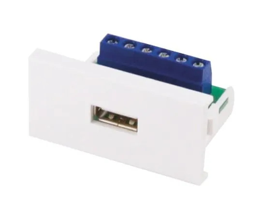 64-0596-94　Single Gang 1 Way Female USB 2.0 Faceplate　CLB50-USB