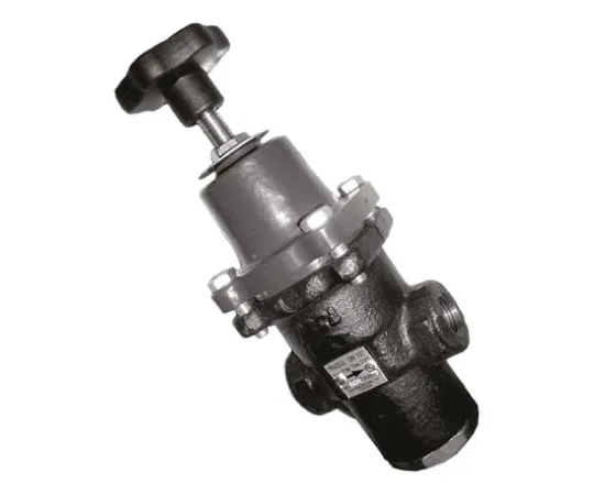 64-0406-95　RS PRO Pressure Reducing Valve, 1 in BSP Female　720-9361