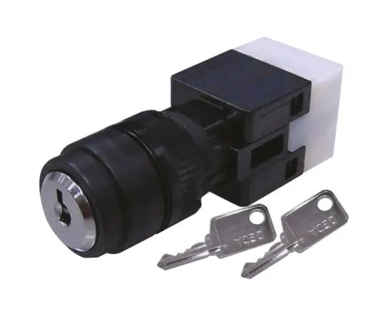 64-1402-86　RS PRO, 3 Position NO/NC+NO/NC Key Switch　820-0485