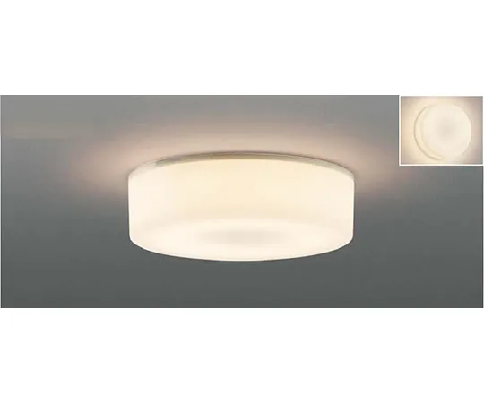 64-0771-79　LED Straight Fixture Ceiling　JBK46473L