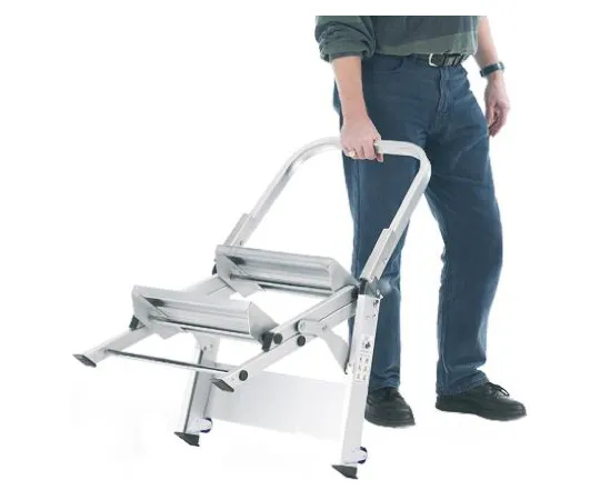 64-1248-96　RS PRO 850mm 2 Rung Aluminium Steps　789-8508